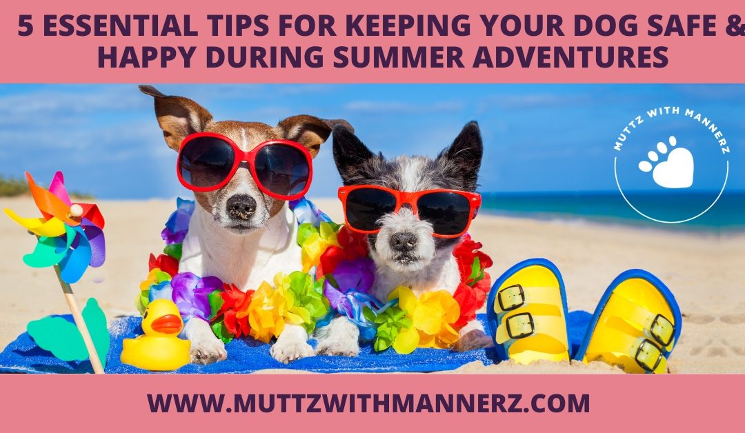 5 Essential Tips for Keeping Your Dog Safe and Happy During Summer Adventures