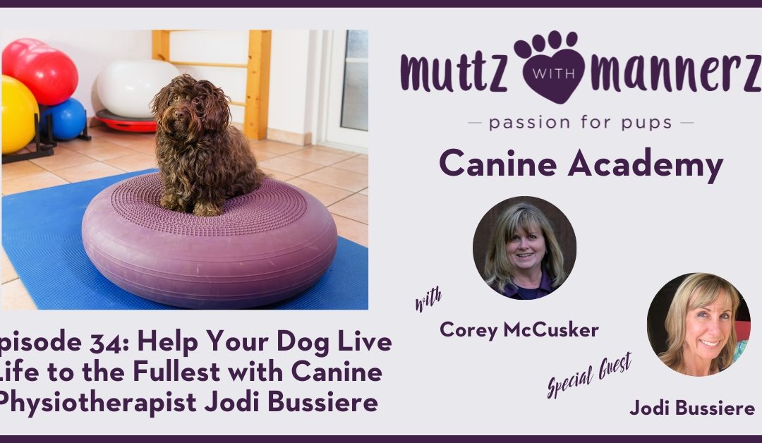 Episode 34: Help your Dog Live Life to the Fullest with Canine Physiotherapist Jodi Bussiere  – Transcript
