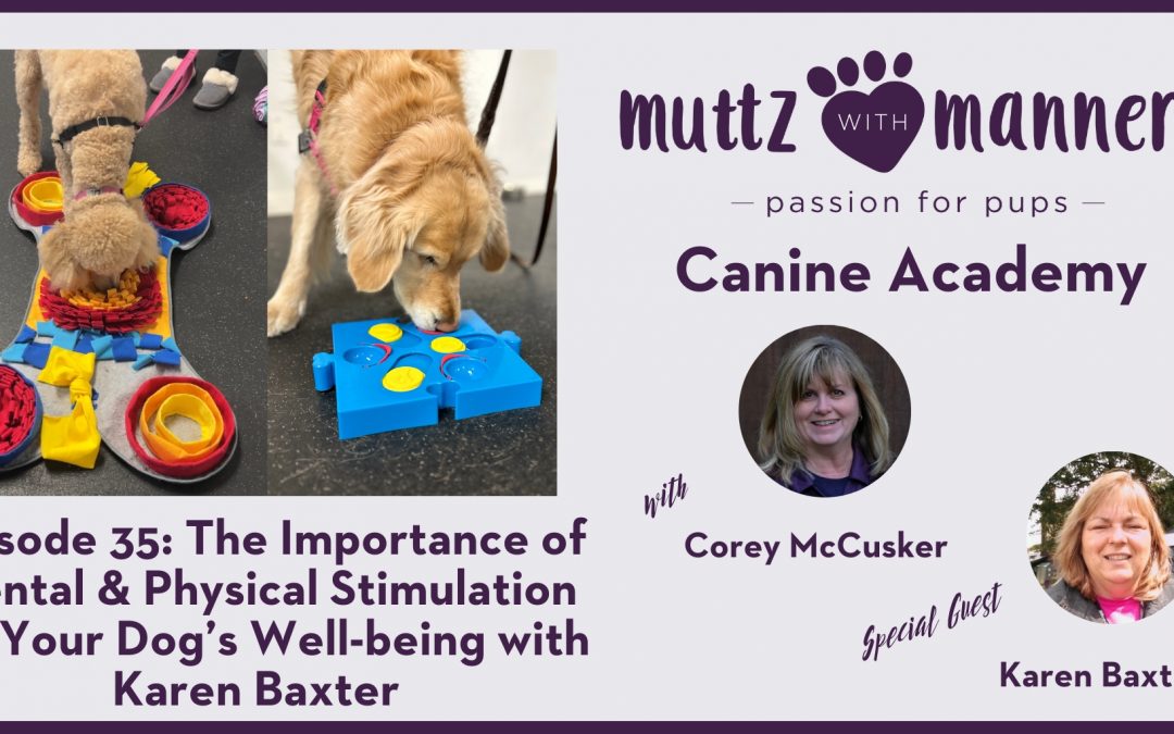 Episode 35: The Importance of Mental & Physical Stimulation for Your Dog’s Well-being with Karen Baxter – Transcript